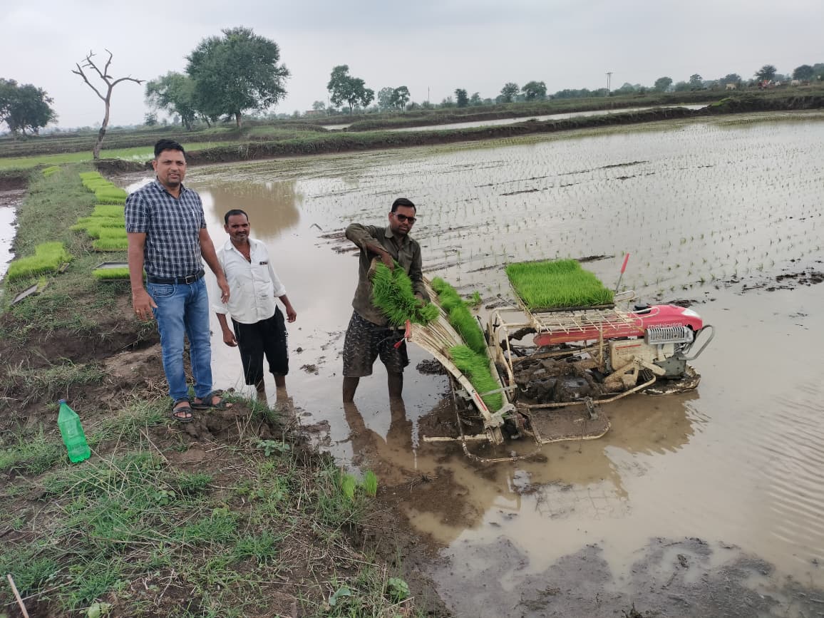 पैडी ट्रांसप्लांटर विधि से धान रोपाई की उन्नत तकनीक ओर बढ़ते किसान
