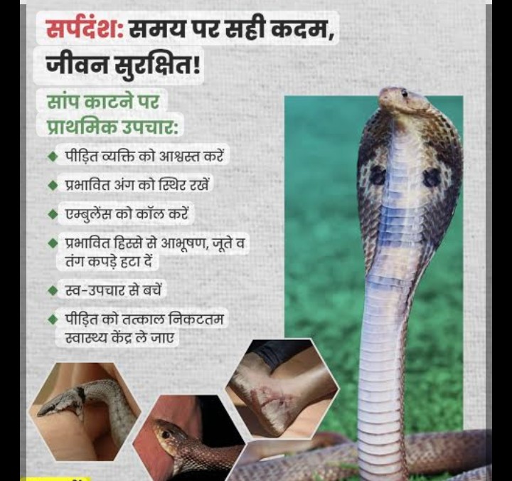कवर्धा : सर्पदंश का शिकार 4 साल का बालक पूरी तरह सुरक्षित, मिला नया जीवन